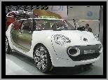 Citroen C-Cactus, Zdjęcie