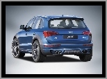 Audi Q5, Pakiet, ABT, Sport