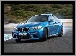 Samochód, BMW M2 F87