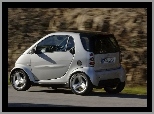 Smart Fortwo, Srebrny