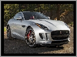 Srebrny, Jaguar F-Type